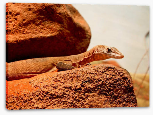 On the hot rocks