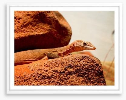 On the hot rocks