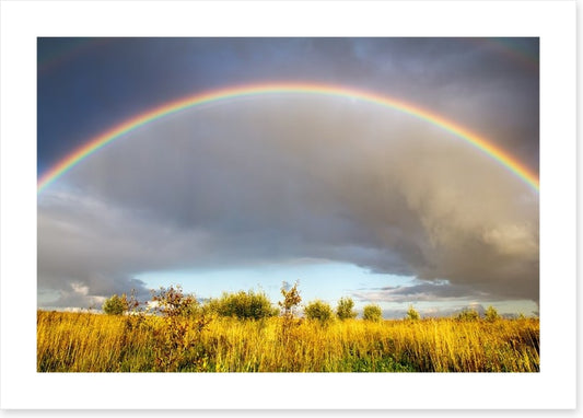 Rainbows