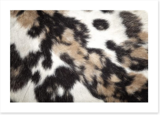 Animal Print