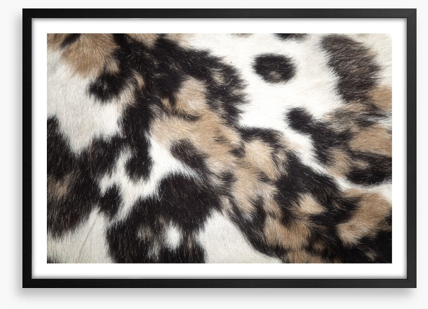 Animal Print