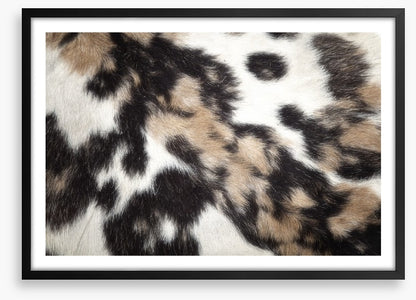 Animal Print