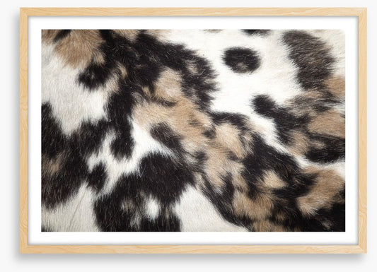 Animal Print