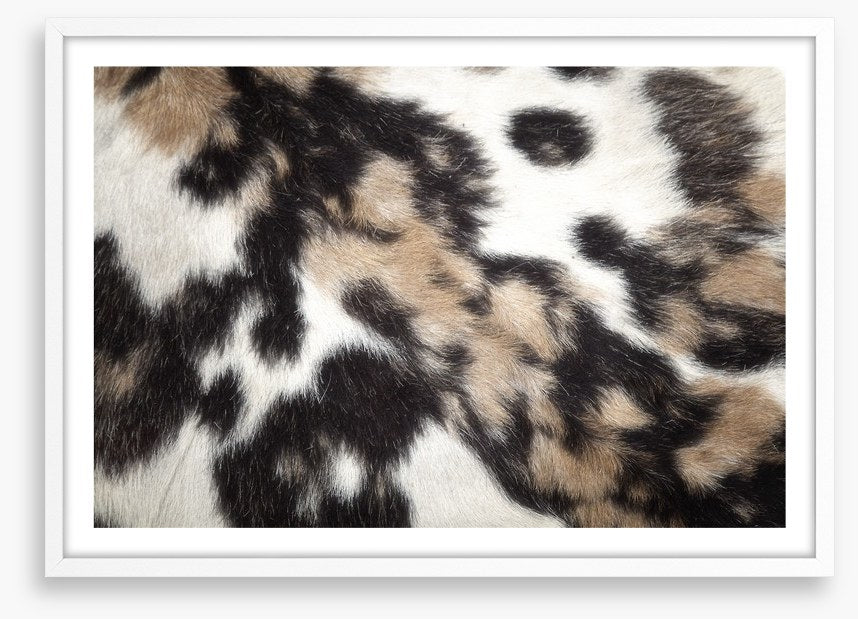 Animal Print