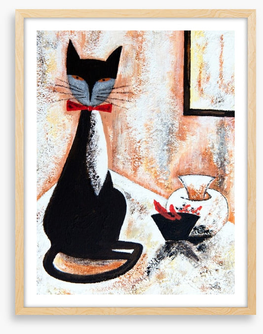 Chat noire