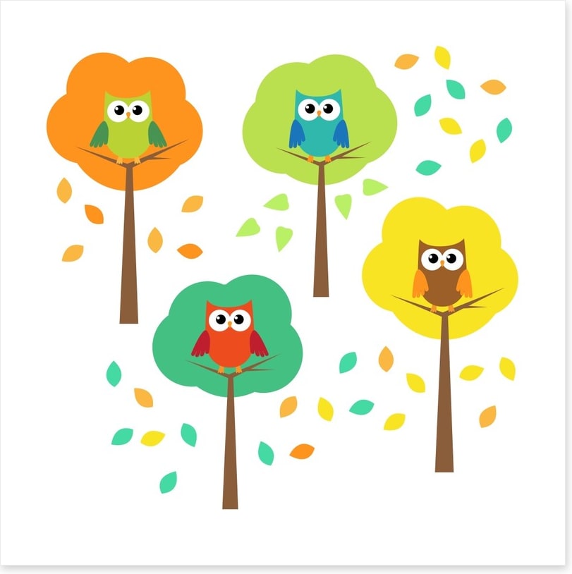 Owls