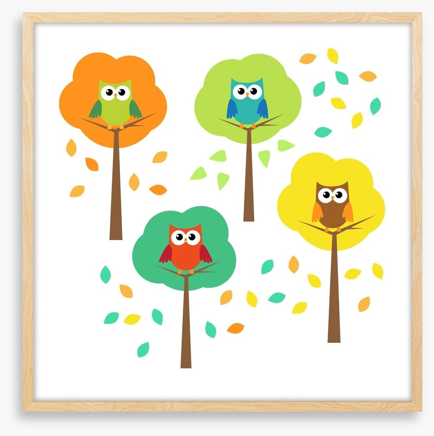 Owls