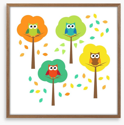 Owls