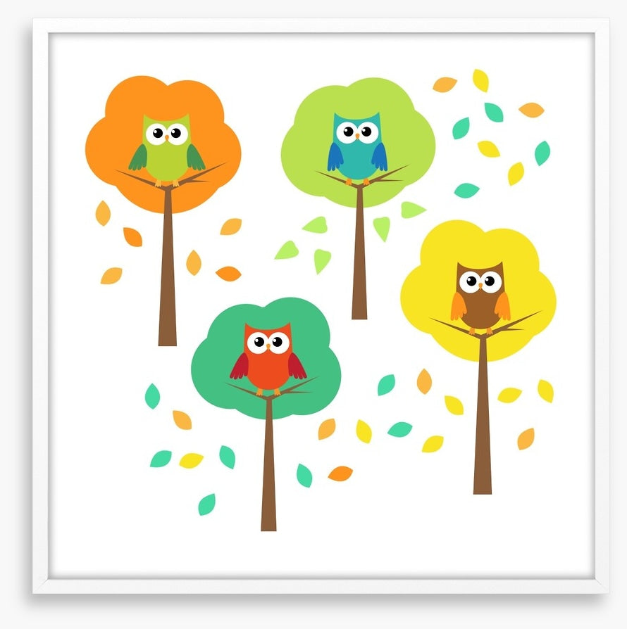Owls