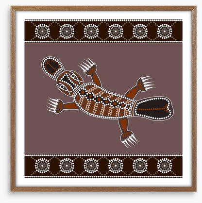 Platypus in the creek