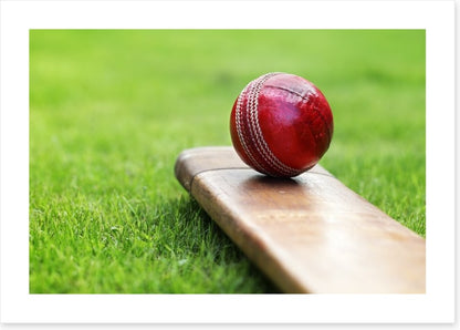 Bat and ball