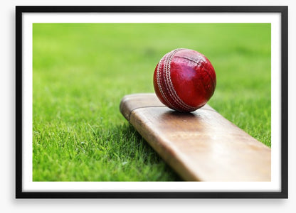 Bat and ball
