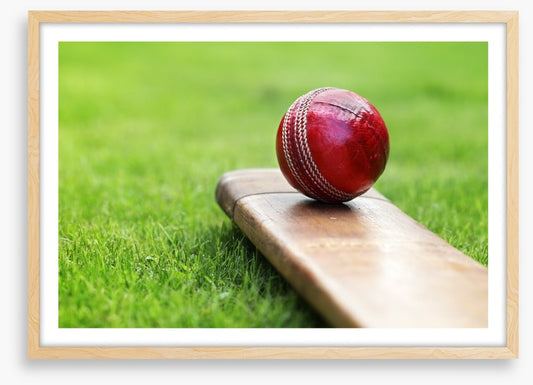 Bat and ball