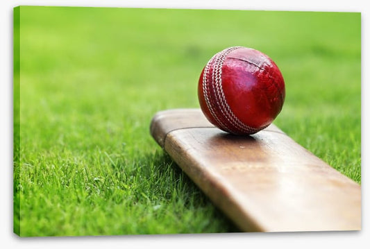 Bat and ball