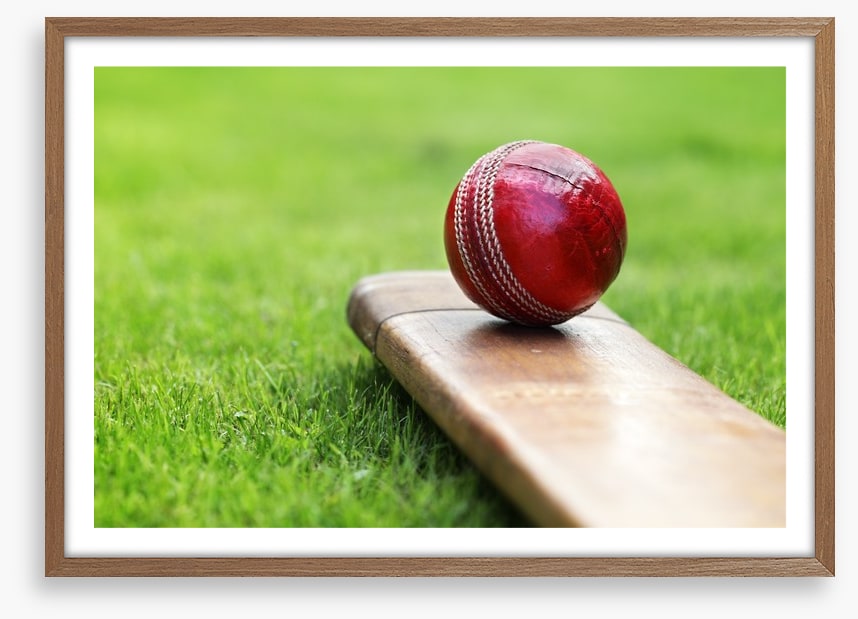 Bat and ball