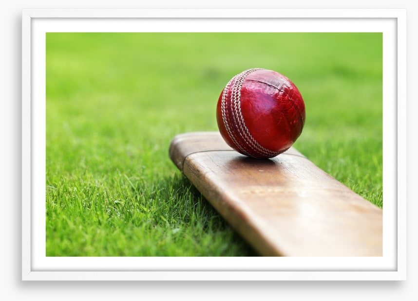 Bat and ball