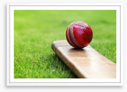 Bat and ball