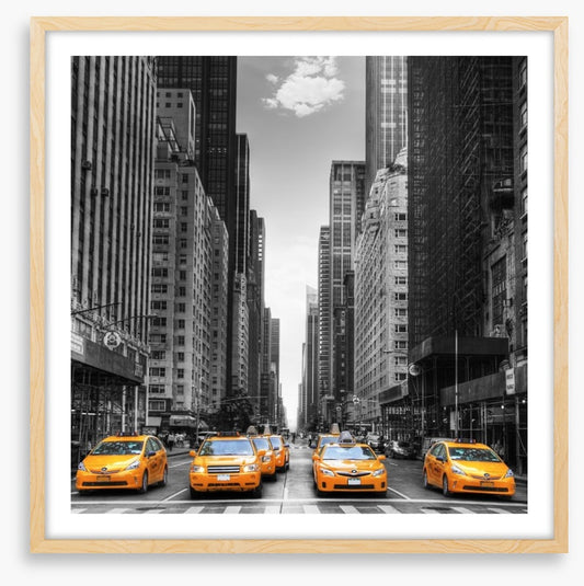 Yellow taxi avenue