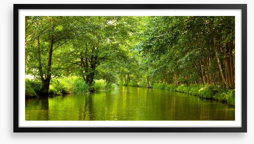 Vibrant forest river