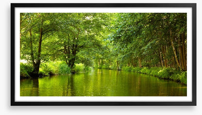 Vibrant forest river