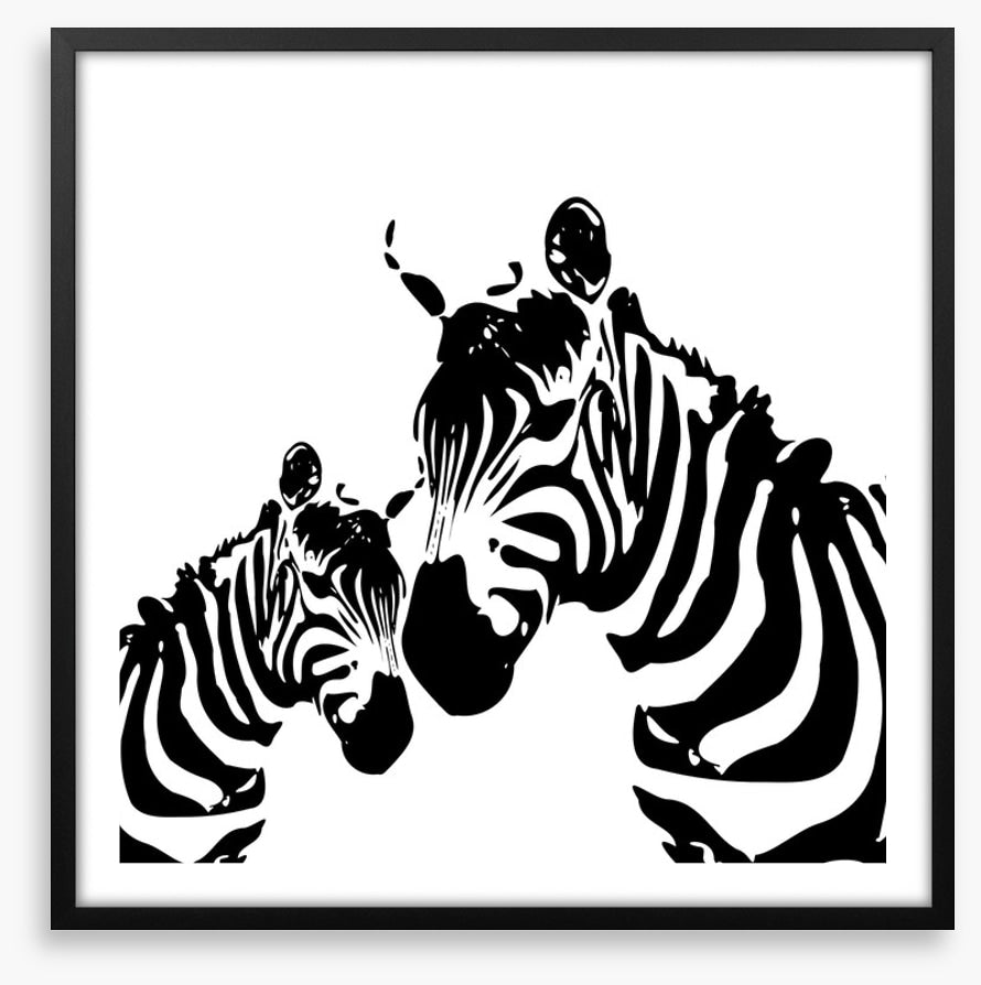 Zebra love