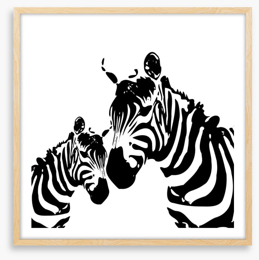 Zebra love