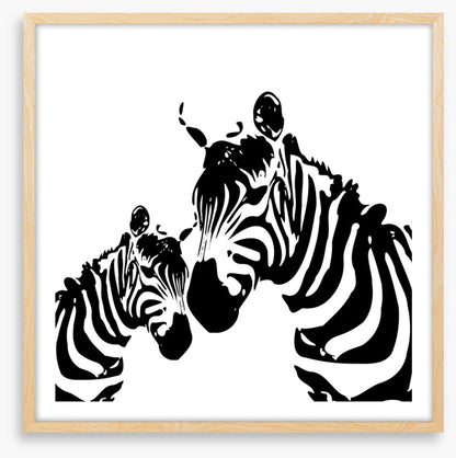 Zebra love