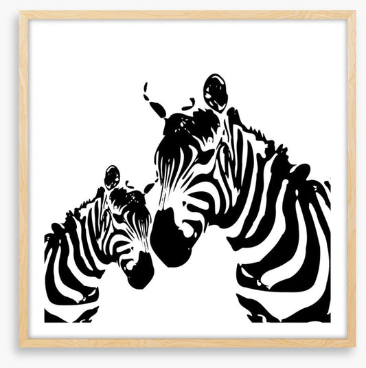 Zebra love