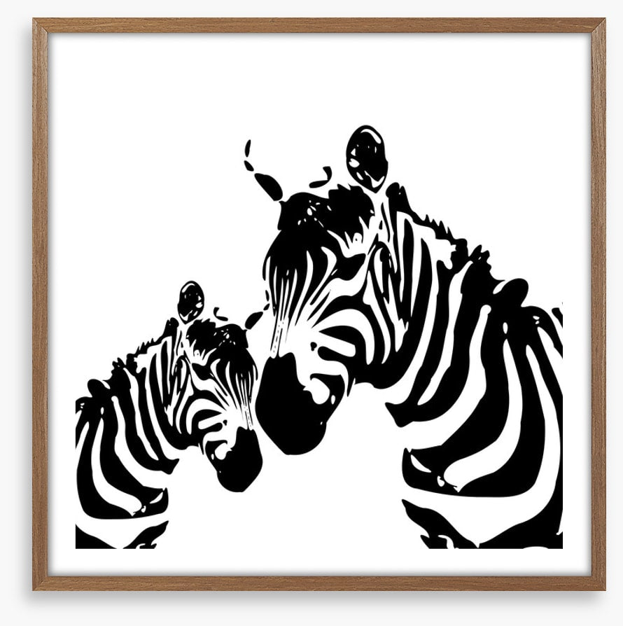 Zebra love