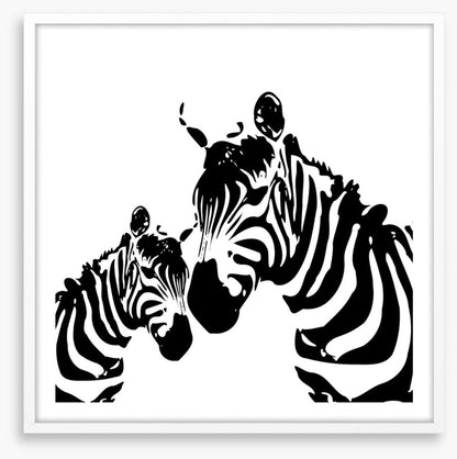 Zebra love