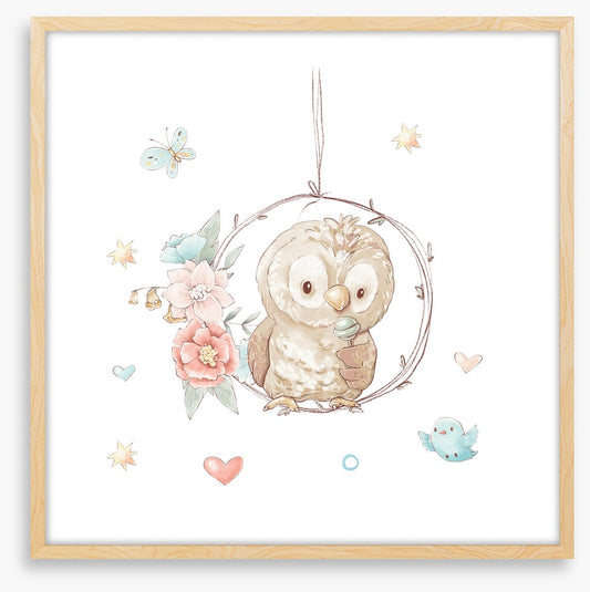 Little lollipop owl