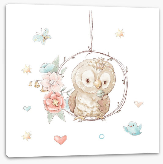 Little lollipop owl