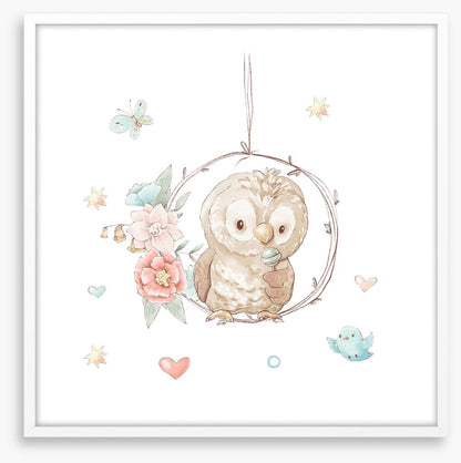 Little lollipop owl