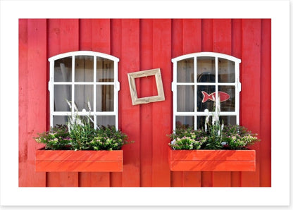 Windows to a simple life