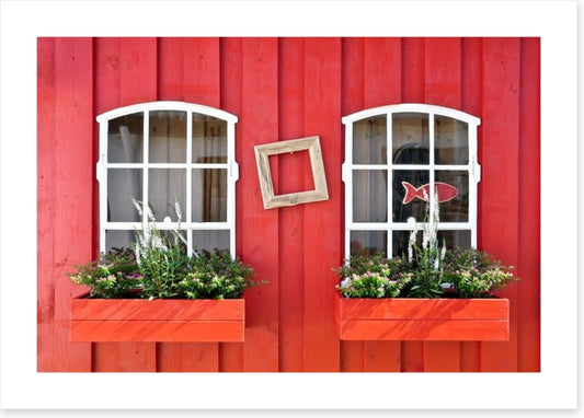 Windows to a simple life