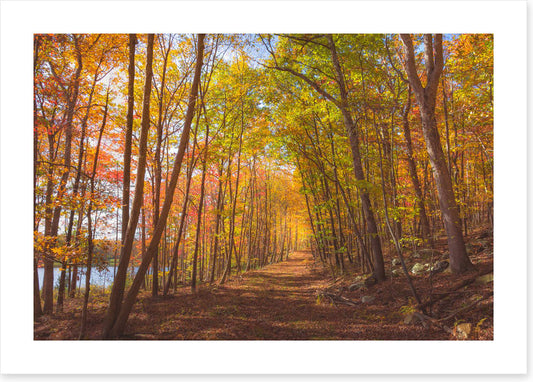 Following fall