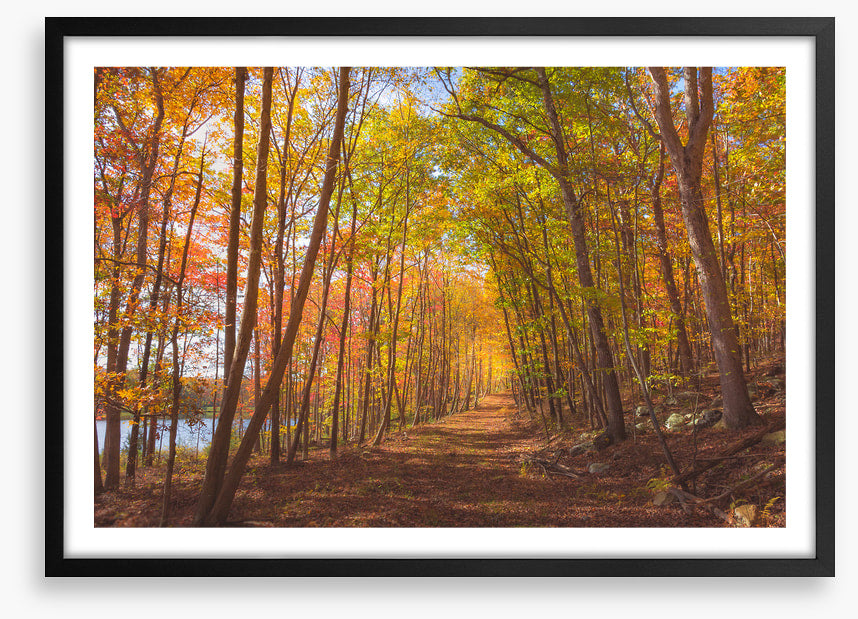 Following fall