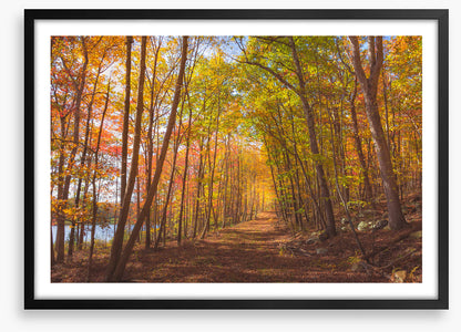 Following fall