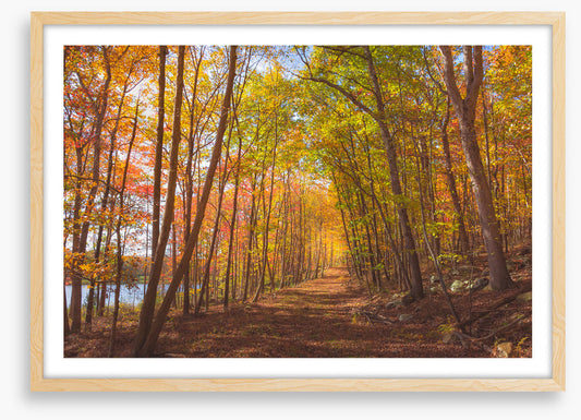 Following fall