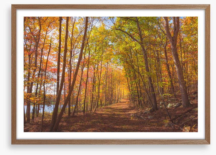 Following fall