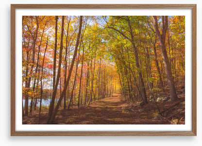 Following fall