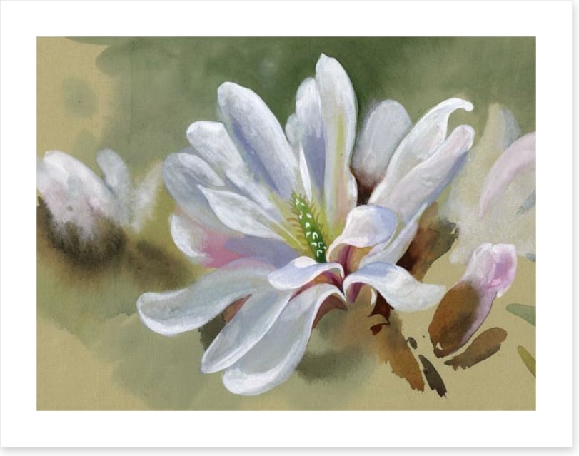 Majestic magnolia