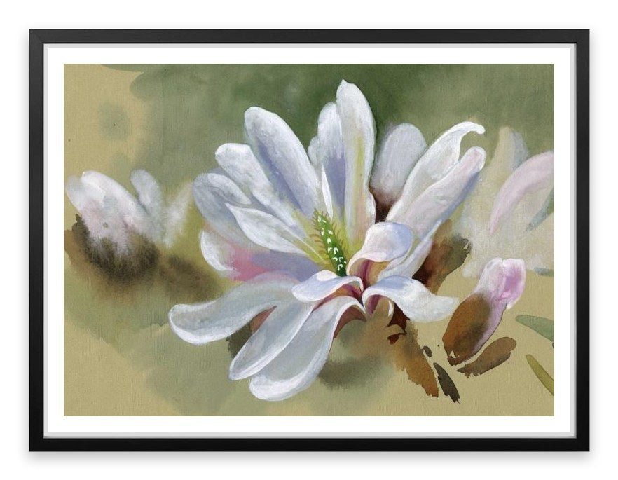 Majestic magnolia