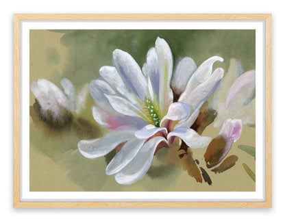 Majestic magnolia