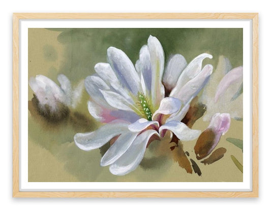 Majestic magnolia
