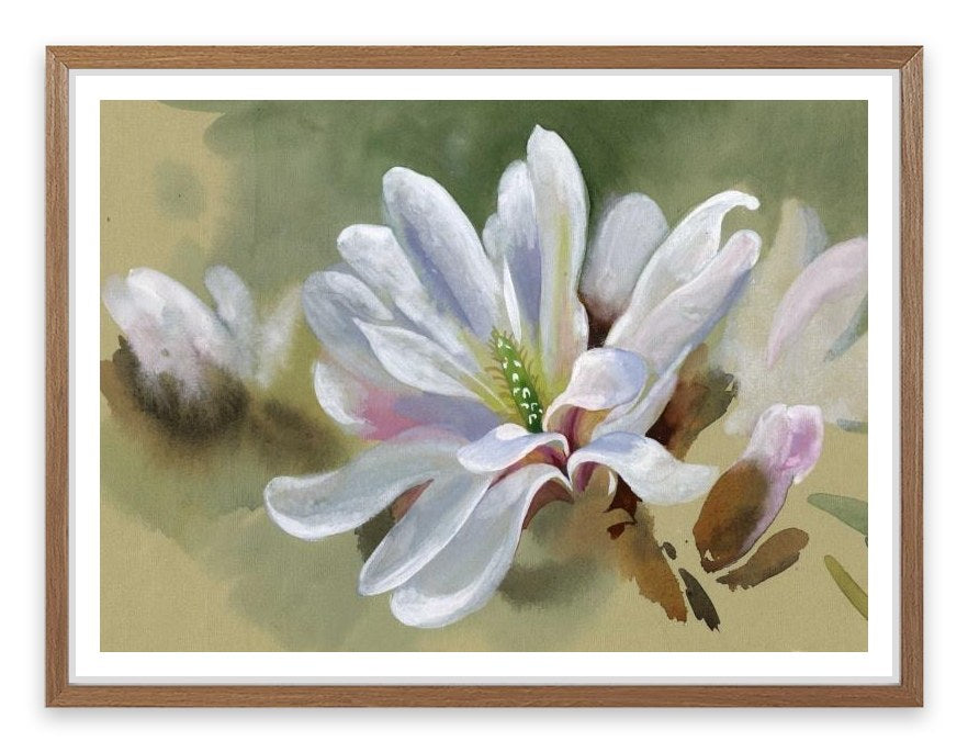 Majestic magnolia