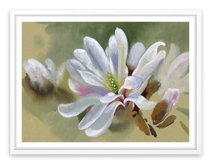 Majestic magnolia