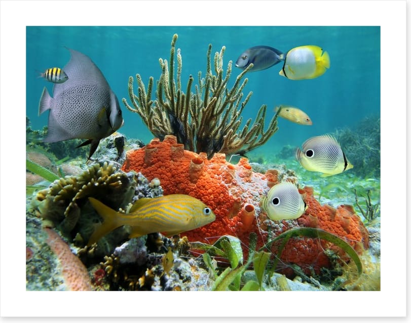 Underwater