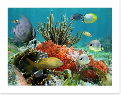 Underwater