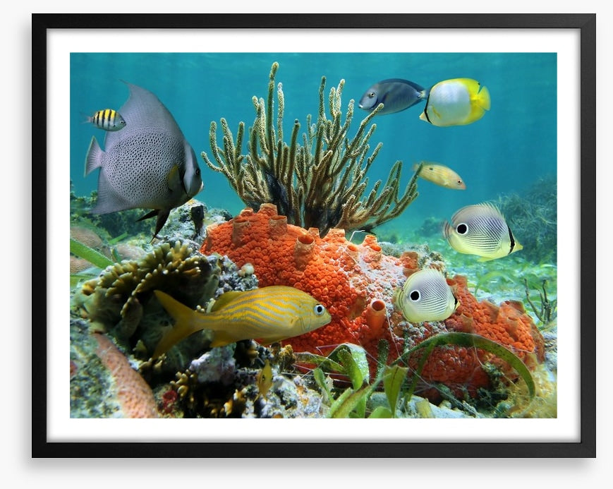 Underwater